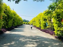 -金谷域澳洲庄园