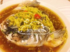 -庐州太太(信地店)