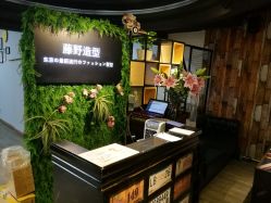 点击看大图 -藤野造型
