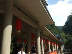 -九龙江国家森林公园