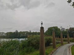 -昆山城市生态森林公园