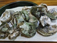 -大富蚝乌东哥饭店·石锅鱼杂·柠檬鸭(革新路店)