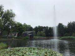 -成飞公园