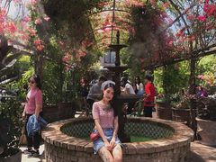 -The Grounds of Alexandria