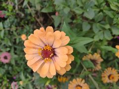 -曹丞相·地锅鸡·地锅鱼(武林店)