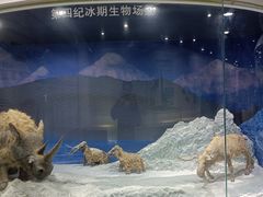 -中国第四纪冰川遗迹陈列馆