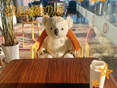-了不起的考拉咖啡店(高新店)