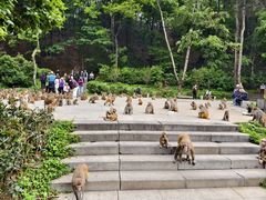 -黔灵山公园