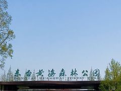 -黄海国家森林公园