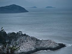 -花岙岛