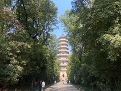-灵谷景区