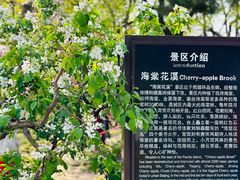-海棠花溪(元大都城垣遗址公园)