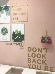 -可可丽舍