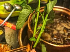 -镇江龙·火锅串串(武侯祠店)