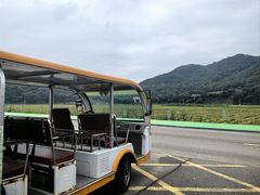 -东海半边山旅游度假区