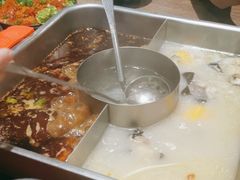 -新辣道鱼火锅(龙旗广场店)