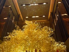 -北京康莱德酒店