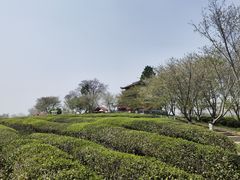 -凤凰沟景区