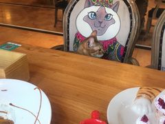 -more than meow吴止猫主题餐厅(承德 中船汇店)