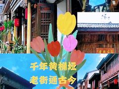 -南山植物园