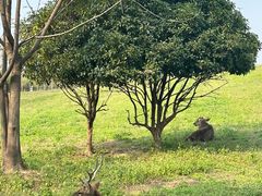 -良渚古城遗址公园