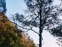 -北辰山景区