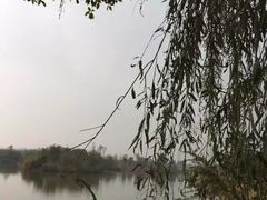 -白鹭湾湿地公园