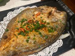 -九府羊·鲜羊火锅·烤串(新华路店)