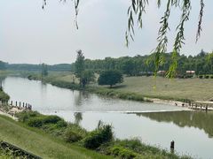 -洨河生态公园