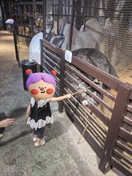 -酷嗒动物文化乐园(cutezoo西溪乐天城店)