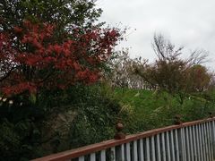 -天河潭旅游度假区