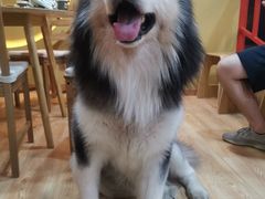 -白兔子密室(长寿路店)