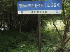 -西溪国家湿地公园