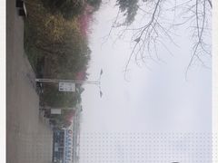 -三圣花乡旅游区