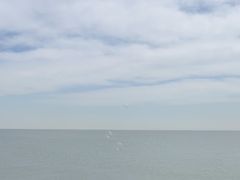 -东堤公园