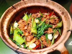 肥肠煲-煲煲好(朝阳门店)