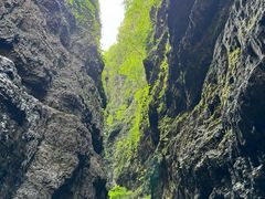 -野三坡百里峡景区