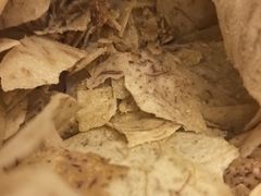 -琦王花生(南翔印象城店)