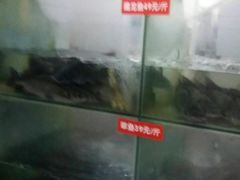 -万和源炝锅城·活鱼现炝(文艺北路店)