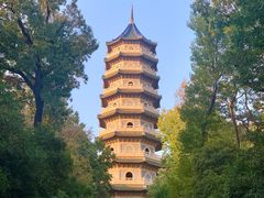 -灵谷景区