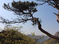 -大连天门山国家森林公园