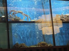 -珍宝海鲜JUMBO Seafood(尚嘉店)