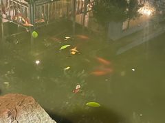 -天怡·鱼工厂(梅溪湖店)
