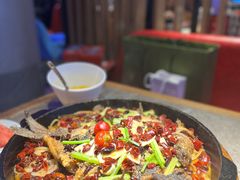 -老板恋上鱼(恒隆广场店)