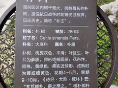 -朴园