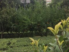 -唐城墙遗址公园