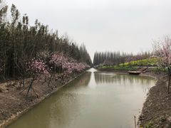 -东平国家森林公园