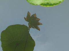 -黄兴公园