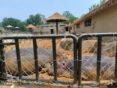 -大连森林动物园