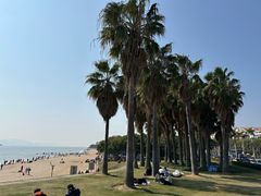 -黄金海岸环岛路